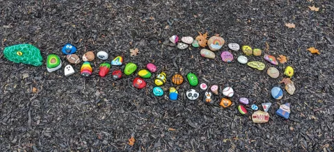 Snake made from painted rocks.