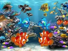 Fish in the ocean