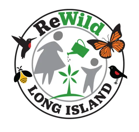 ReWild