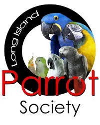 A variety of parrots