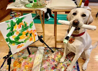 Picasso the dog holding a paintbrush