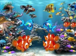 Fish in the ocean