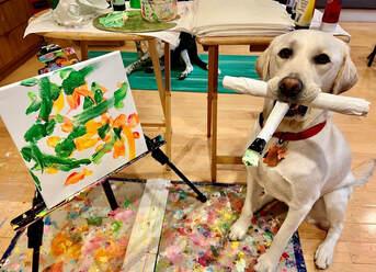 Picasso the dog holding a paintbrush